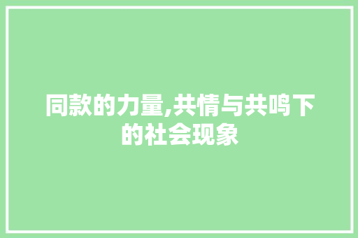 同款的力量,共情与共鸣下的社会现象