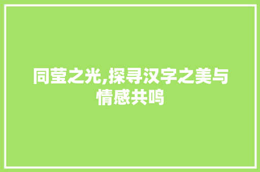 同莹之光,探寻汉字之美与情感共鸣