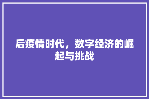 后疫情时代，数字经济的崛起与挑战