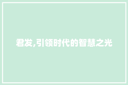 君发,引领时代的智慧之光