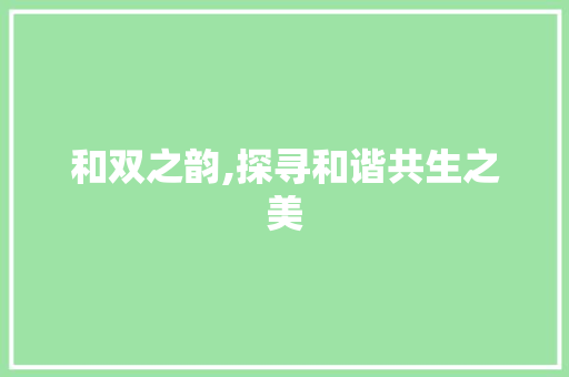 和双之韵,探寻和谐共生之美