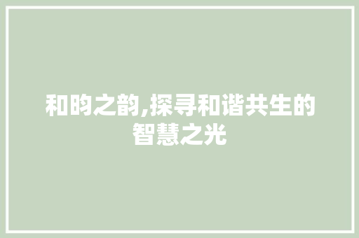 和昀之韵,探寻和谐共生的智慧之光
