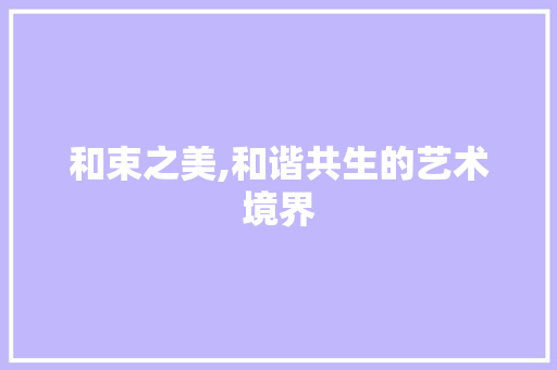 和束之美,和谐共生的艺术境界