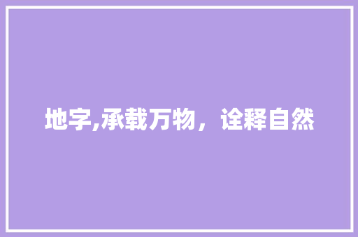 地字,承载万物，诠释自然