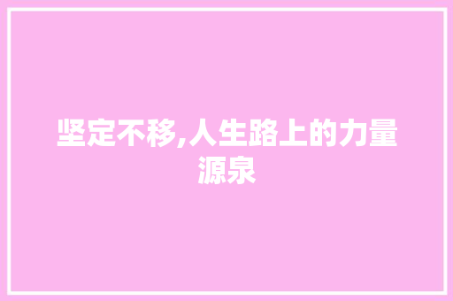 坚定不移,人生路上的力量源泉