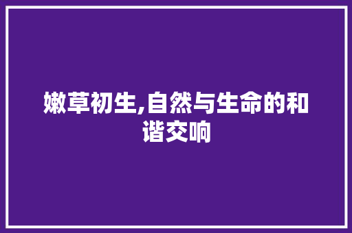 嫩草初生,自然与生命的和谐交响