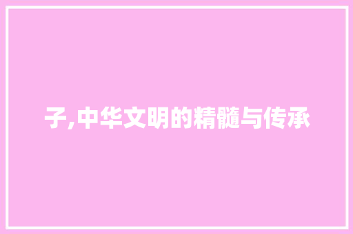 子,中华文明的精髓与传承