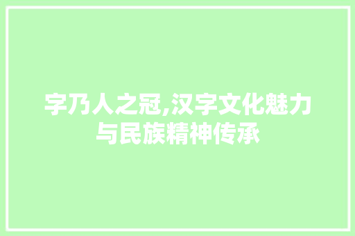 字乃人之冠,汉字文化魅力与民族精神传承
