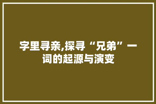 字里寻亲,探寻“兄弟”一词的起源与演变
