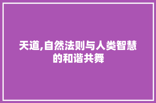 天道,自然法则与人类智慧的和谐共舞