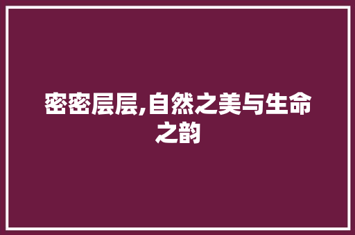 密密层层,自然之美与生命之韵