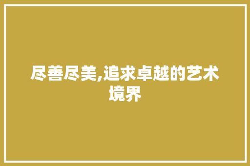 尽善尽美,追求卓越的艺术境界