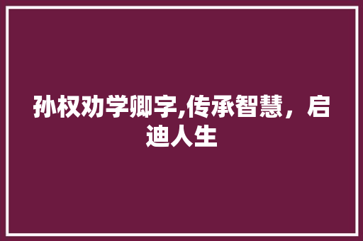 孙权劝学卿字,传承智慧，启迪人生