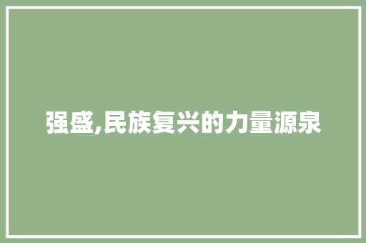 强盛,民族复兴的力量源泉