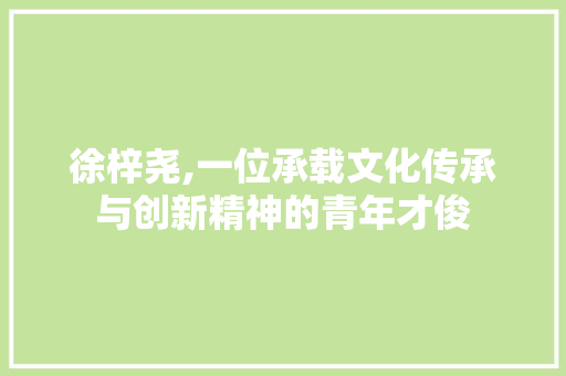 徐梓尧,一位承载文化传承与创新精神的青年才俊