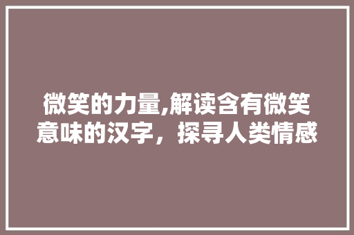 微笑的力量,解读含有微笑意味的汉字，探寻人类情感共通之处