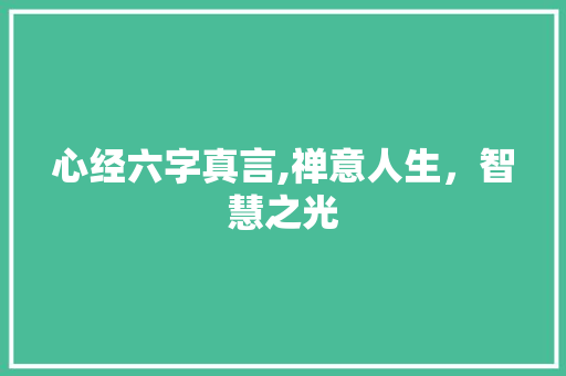 心经六字真言,禅意人生，智慧之光