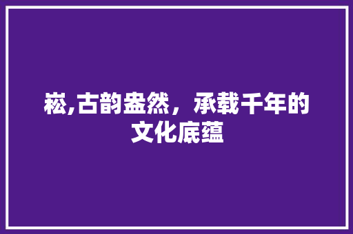 崧,古韵盎然，承载千年的文化底蕴