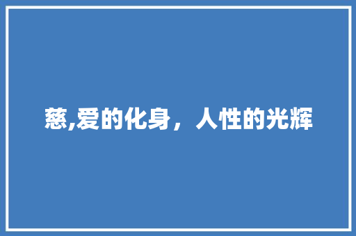 慈,爱的化身，人性的光辉