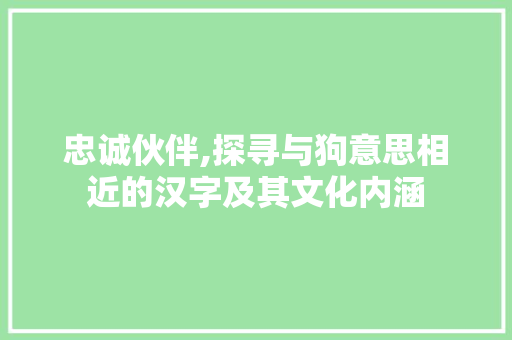忠诚伙伴,探寻与狗意思相近的汉字及其文化内涵