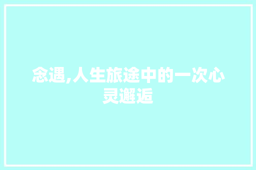 念遇,人生旅途中的一次心灵邂逅