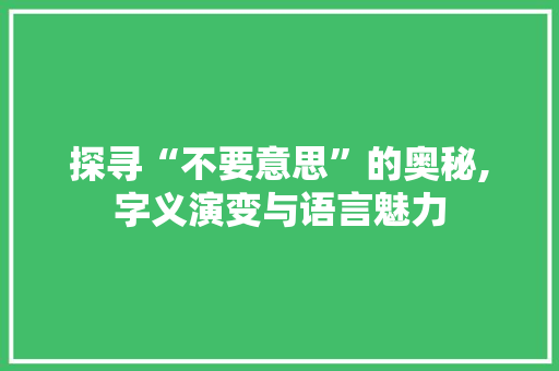 探寻“不要意思”的奥秘,字义演变与语言魅力