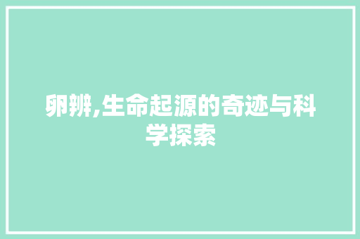 卵辨,生命起源的奇迹与科学探索