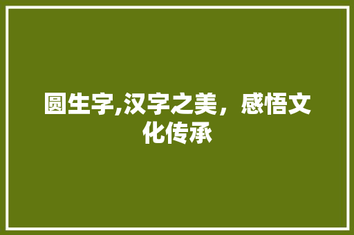 圆生字,汉字之美，感悟文化传承