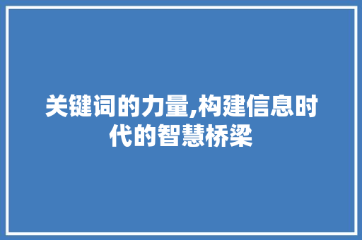 关键词的力量,构建信息时代的智慧桥梁