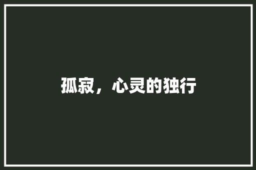 孤寂,心灵的独行