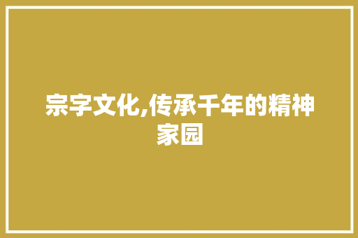 宗字文化,传承千年的精神家园