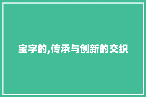 宝字的,传承与创新的交织