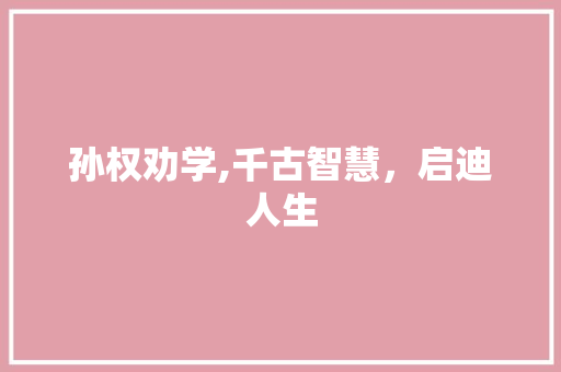 孙权劝学,千古智慧，启迪人生