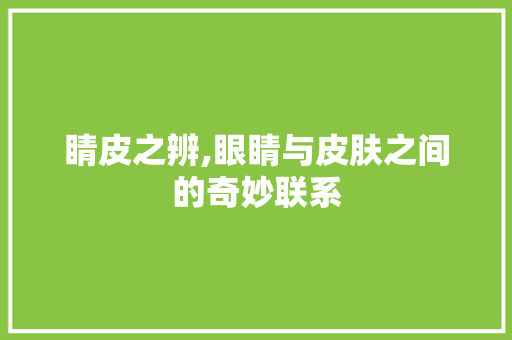 睛皮之辨,眼睛与皮肤之间的奇妙联系