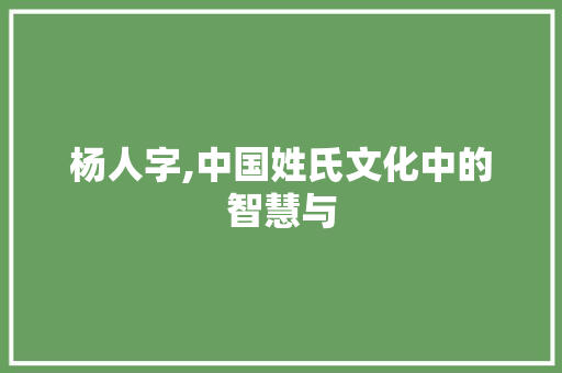 杨人字,中国姓氏文化中的智慧与