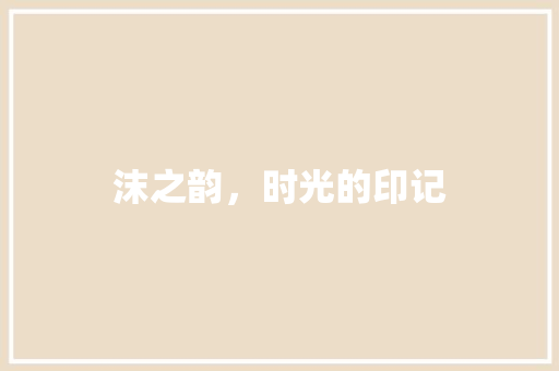 沫之韵，时光的印记