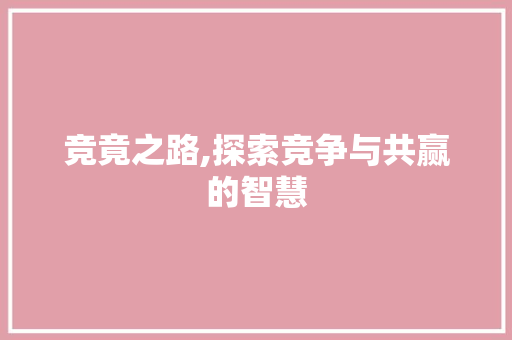 竞竟之路,探索竞争与共赢的智慧