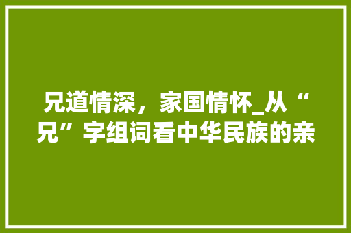 兄道情深，家国情怀_从“兄”字组词看中华民族的亲情文化