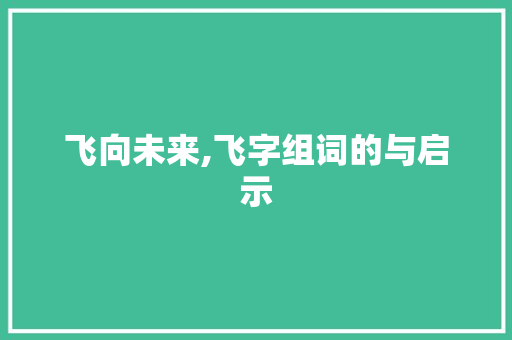 飞向未来,飞字组词的与启示