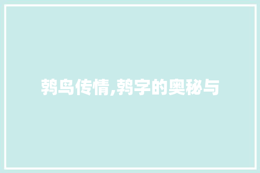 鹁鸟传情,鹁字的奥秘与