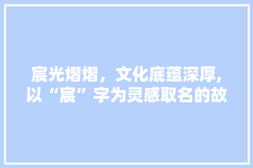 宸光熠熠，文化底蕴深厚,以“宸”字为灵感取名的故事与启示