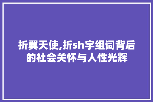 折翼天使,折sh字组词背后的社会关怀与人性光辉
