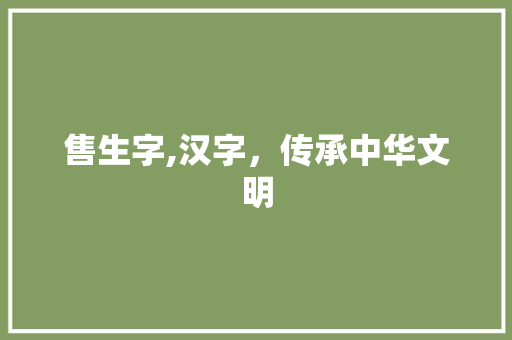 售生字,汉字，传承中华文明