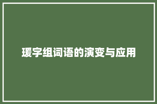 瑗字组词语的演变与应用