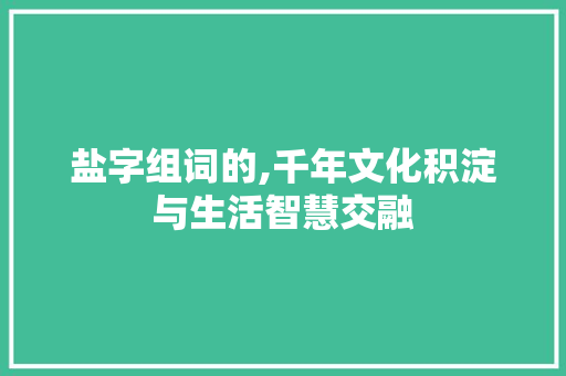 盐字组词的,千年文化积淀与生活智慧交融