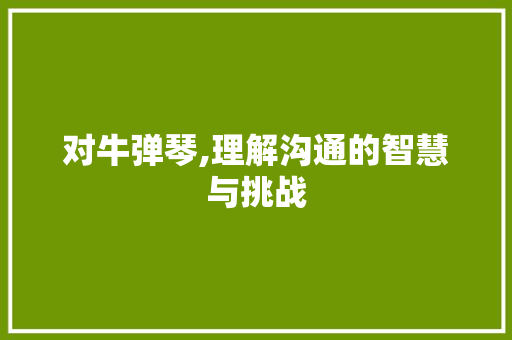 对牛弹琴,理解沟通的智慧与挑战