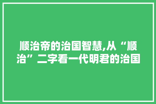 顺治帝的治国智慧,从“顺治”二字看一代明君的治国之路