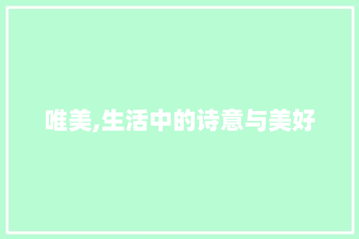 唯美,生活中的诗意与美好
