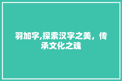 羽加字,探索汉字之美，传承文化之魂