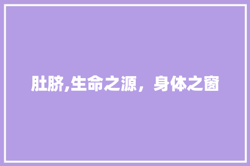 肚脐,生命之源，身体之窗